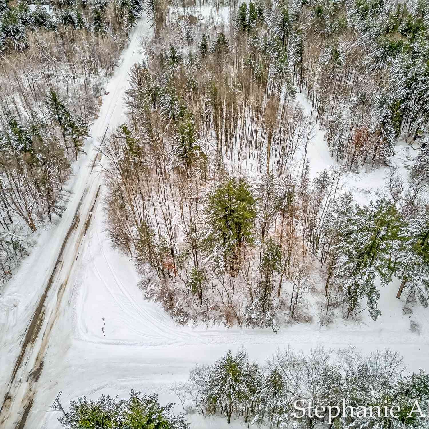 Vacant Land For Sale - VL Todd Road<br/> Whitehall, MI 49461