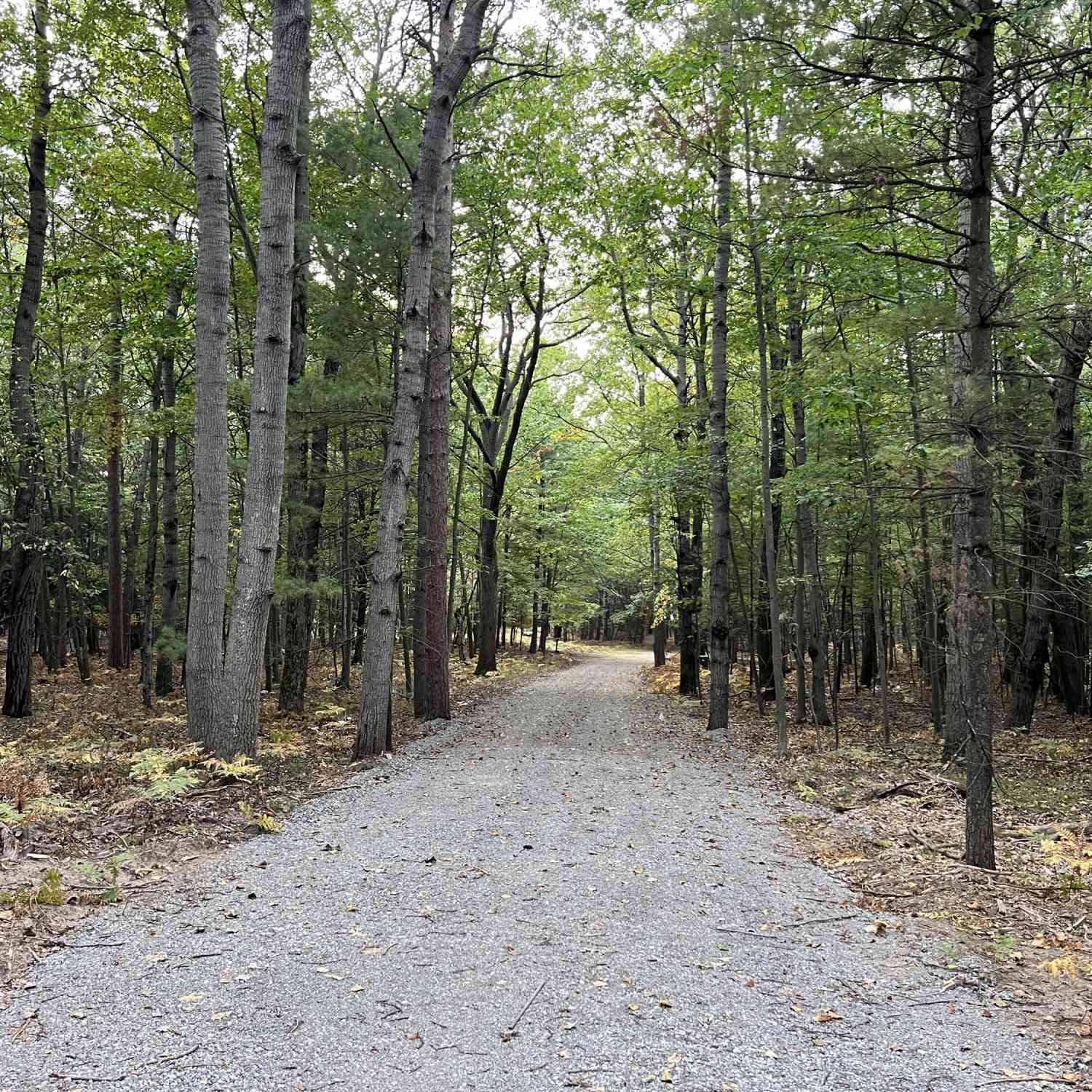 Vacant Land For Sale - 10650 Old Freesoil<br/> Free Soil, MI 49411