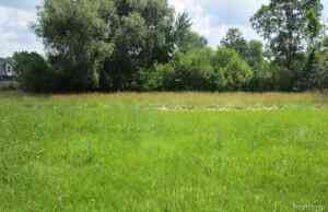 Vacant Land For Sale - Detroit Street<br/> Flint, MI 48505
