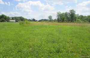 Vacant Land For Sale - Detroit Street<br/> Flint, MI 48505