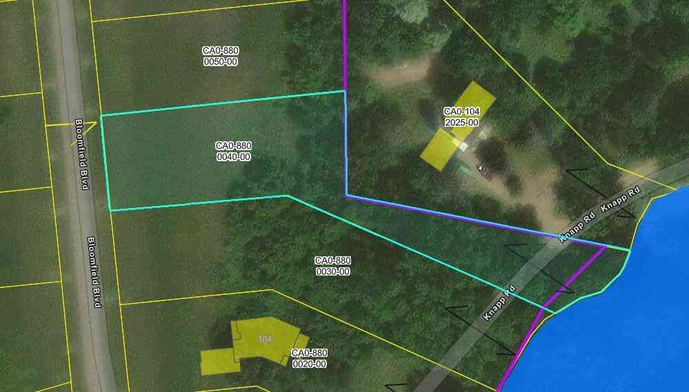 Vacant Land For Sale - 108 Bloomfield Boulevard<br/> Lenawee County, Brooklyn, MI 49230