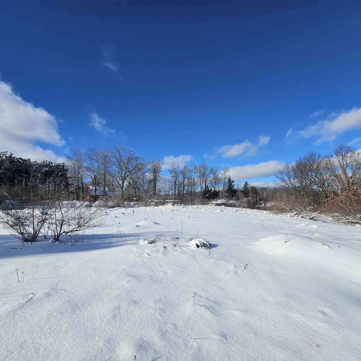 Vacant Land For Sale - 02 120th Ave<br/> Rodney, MI 49342