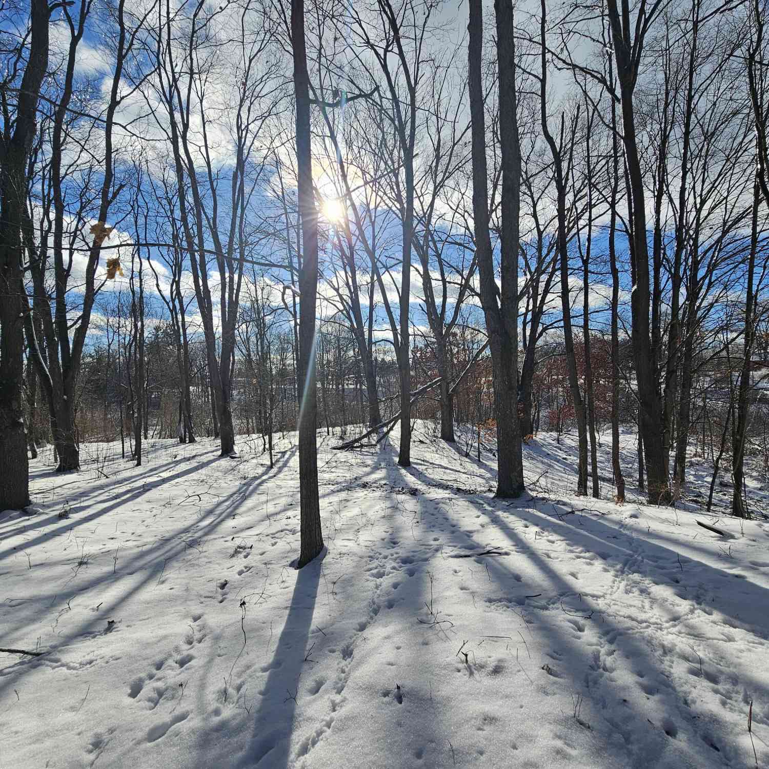 Vacant Land For Sale - 01 120th Ave<br/> Rodney, MI 49342