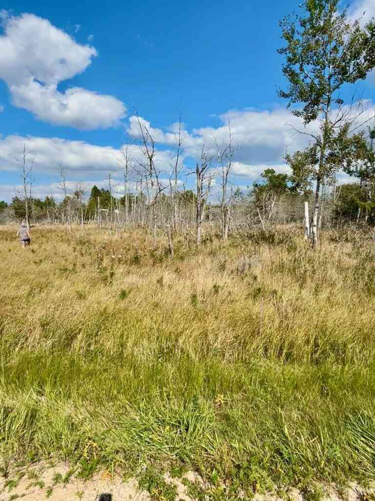 Vacant Land For Sale - LOT 17 W Fairway Street<br/> Onekama, MI 49675