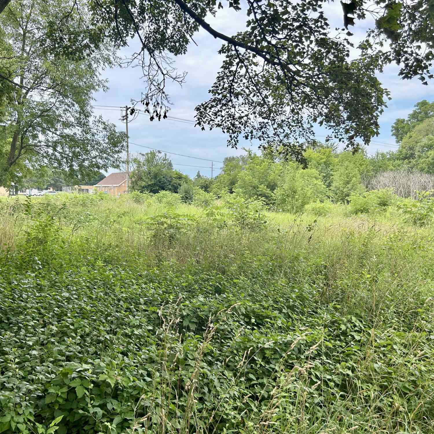 Vacant Land For Sale - 890 Fairfield Avenue<br/> Battle Creek, MI 49015