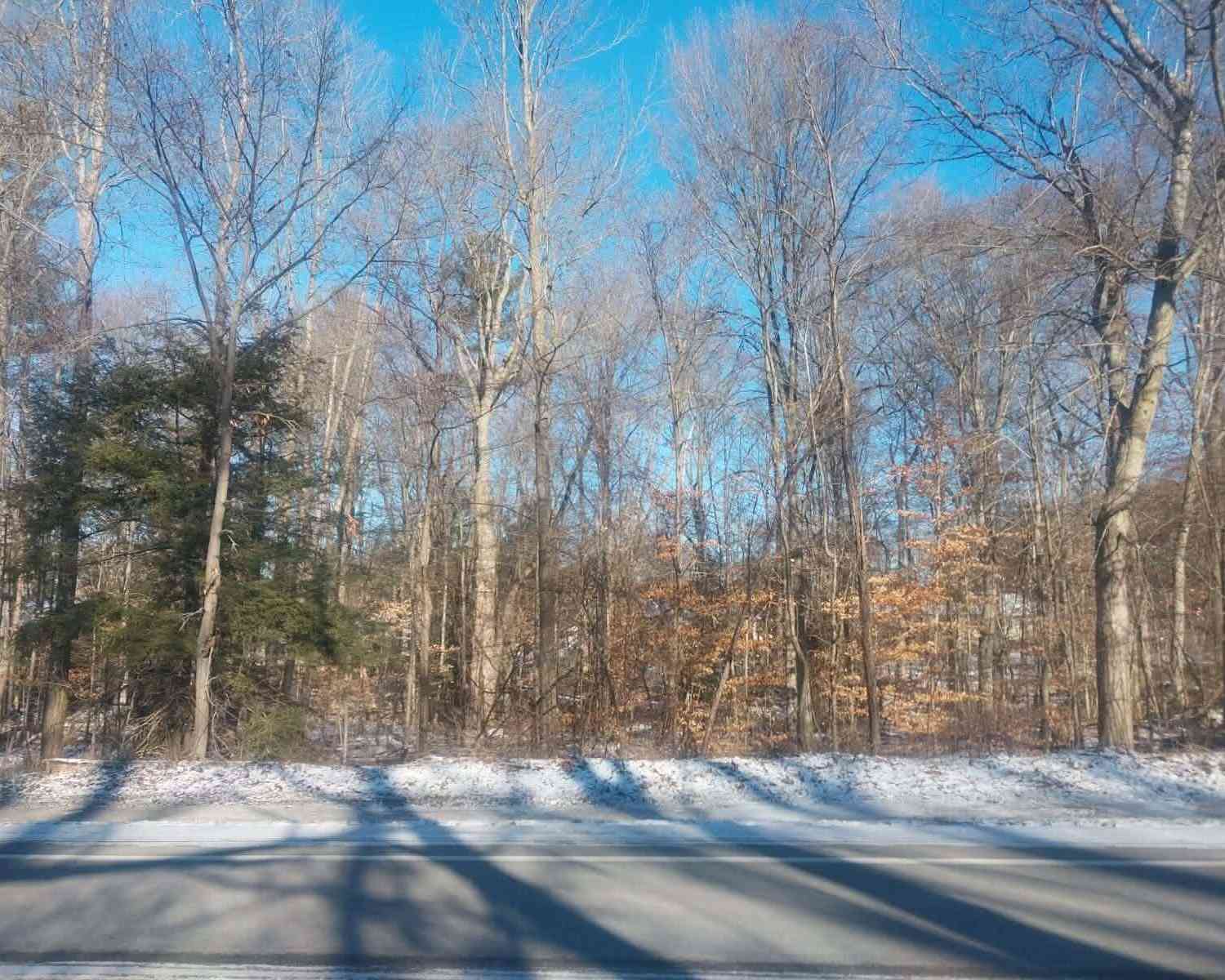 Vacant Land For Sale - LOT A 142nd Avenue<br/> Dorr, MI 49323