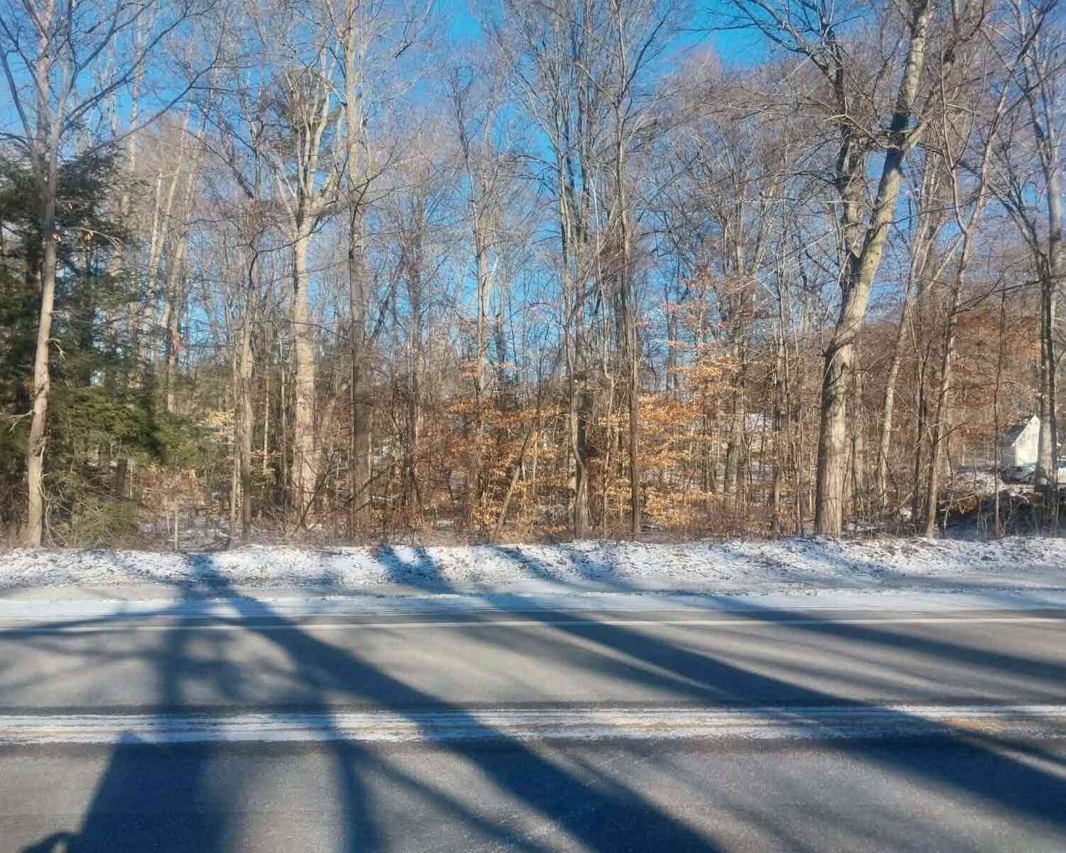 Vacant Land For Sale - LOT B 142nd Avenue<br/> Dorr, MI 49323