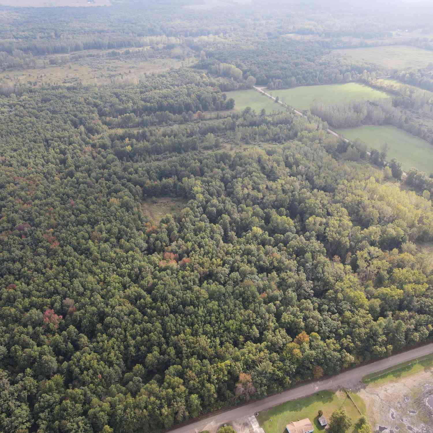Vacant Land For Sale - 0VL S Mason Road<br/> Gratiot County, Ashley, MI 48806