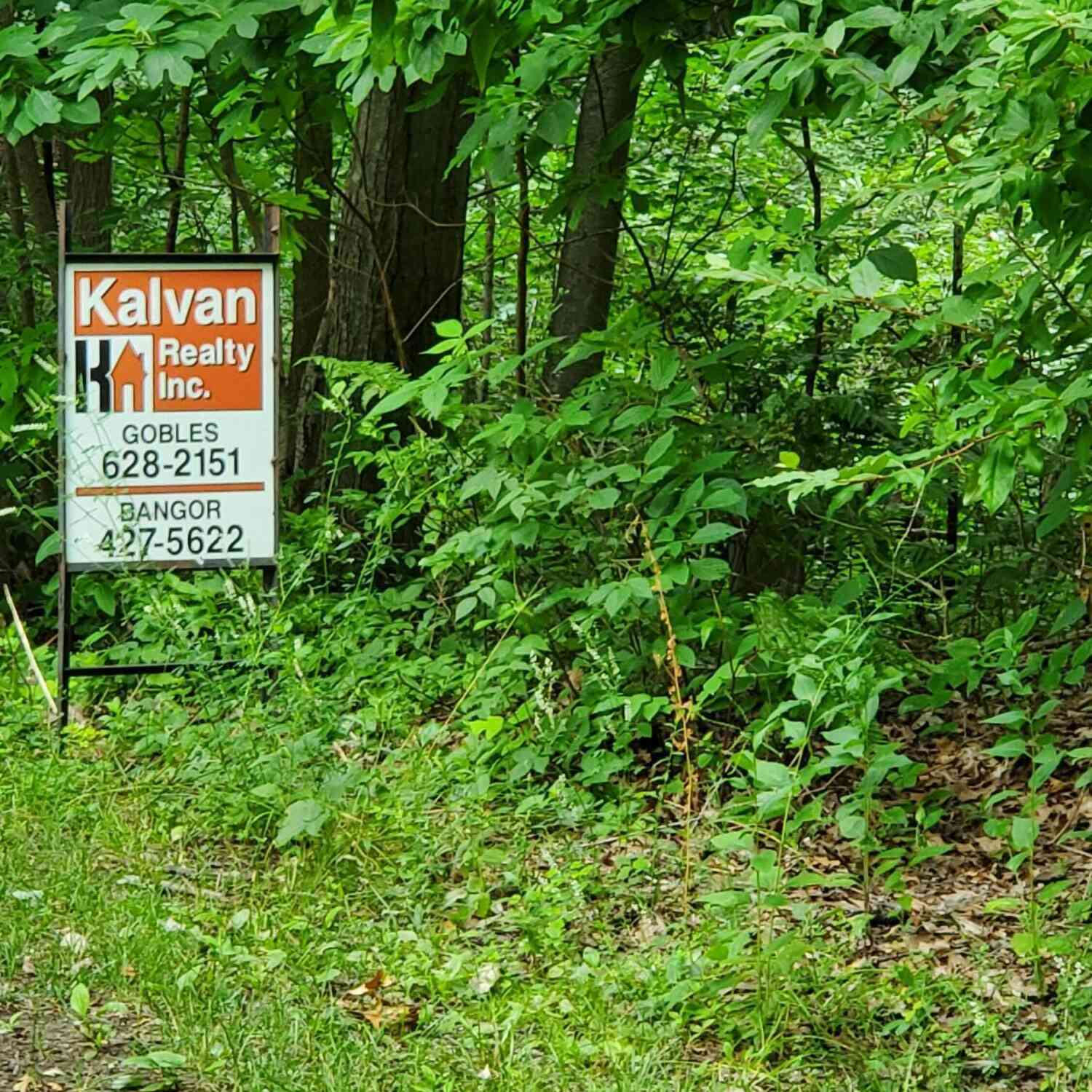 Vacant Land For Sale - 36200 Maier Street<br/> Gobles, MI 49055