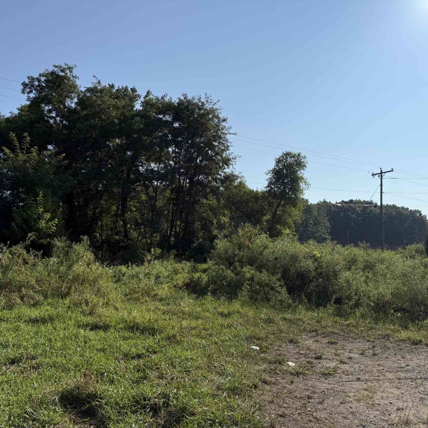 Vacant Land For Sale - 731 Sears Road<br/> Concord, MI 49237