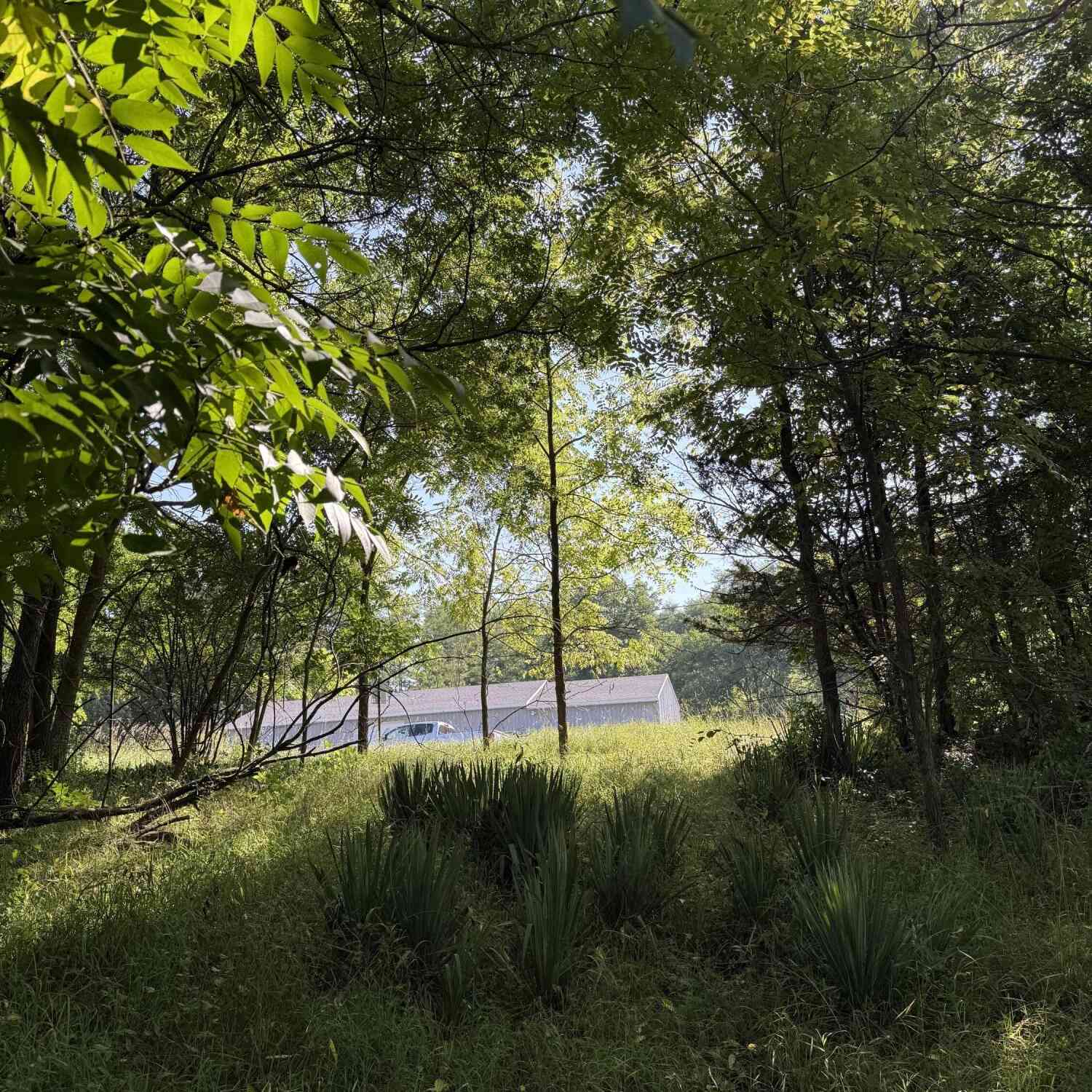 Vacant Land For Sale - 178 Griswold Street<br/> Hillsdale, MI 49242