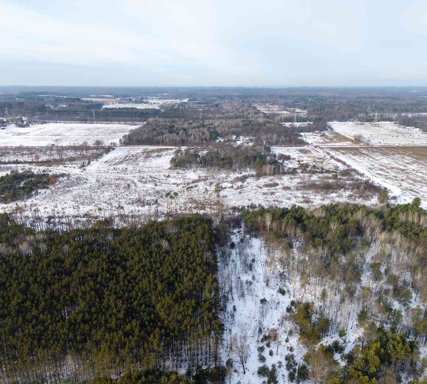 Vacant Land For Sale - 00 V/L N 88th Ave.<br/> Hart, MI 49420
