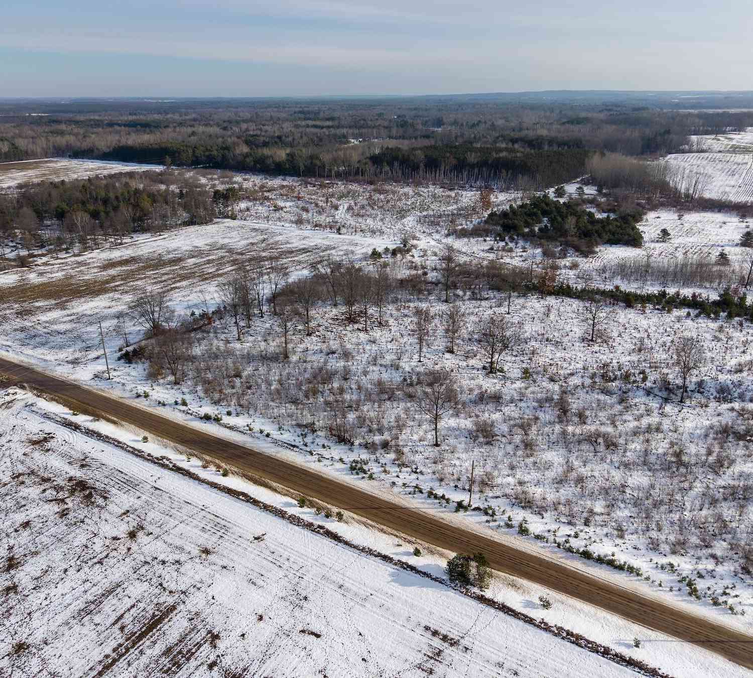 Vacant Land For Sale - 000 V/L N 88th Ave.<br/> Hart, MI 49420