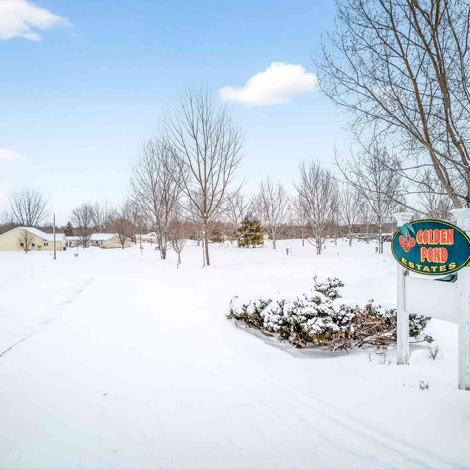 Vacant Land For Sale - LOT 9 Lake Boulevard<br/> Hart, MI 49420