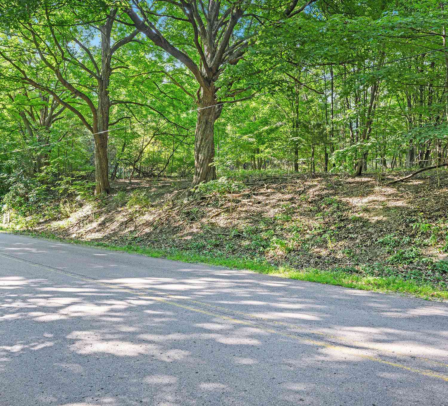 Vacant Land For Sale - V/L 56th Avenue<br/> Paw Paw, MI 49079