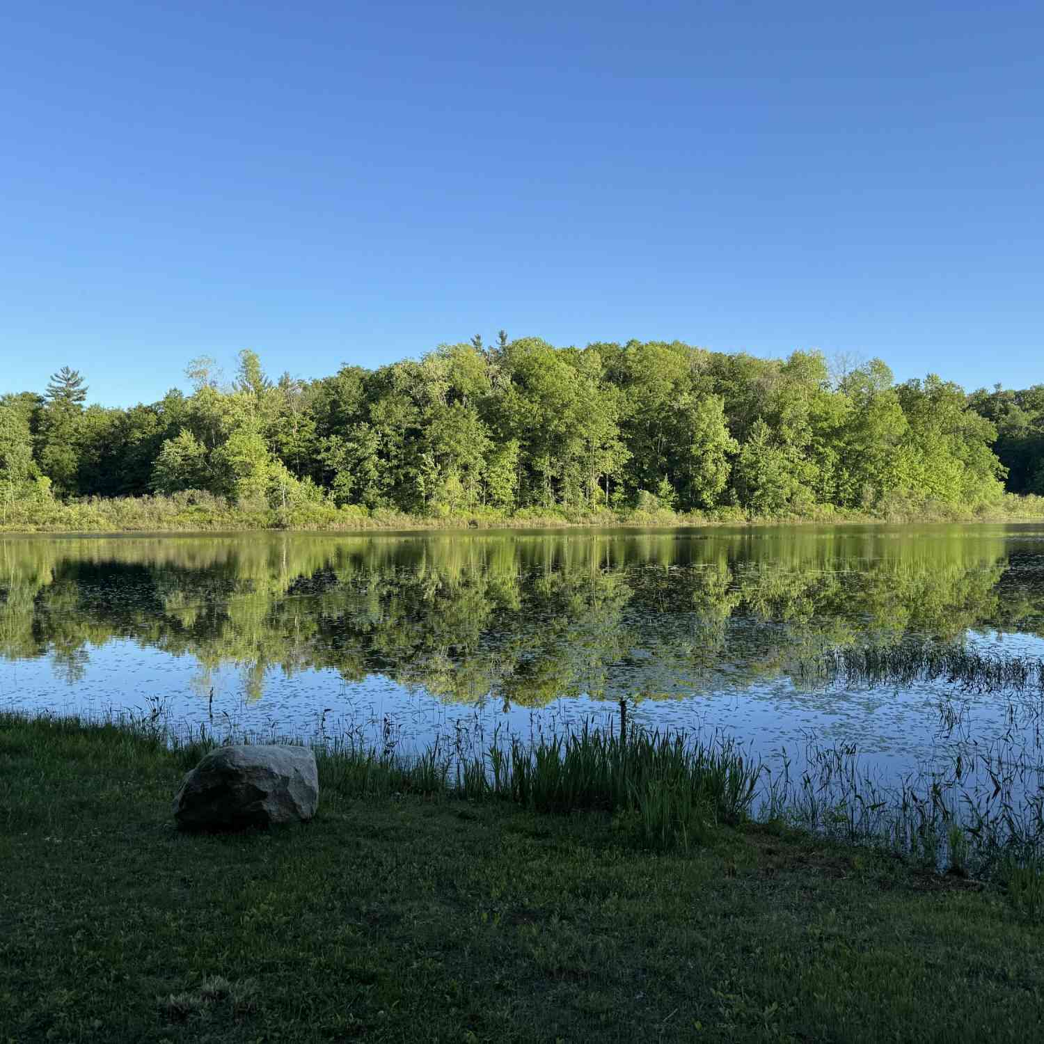 Vacant Land For Sale - VL E Woodlawn Avenue<br/> Newaygo, MI 49337