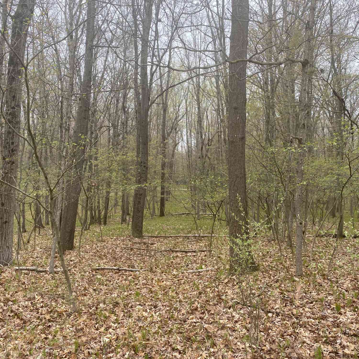 Vacant Land For Sale - 12075 Halifax Drive #418<br/> Canadian Lakes, MI 49346
