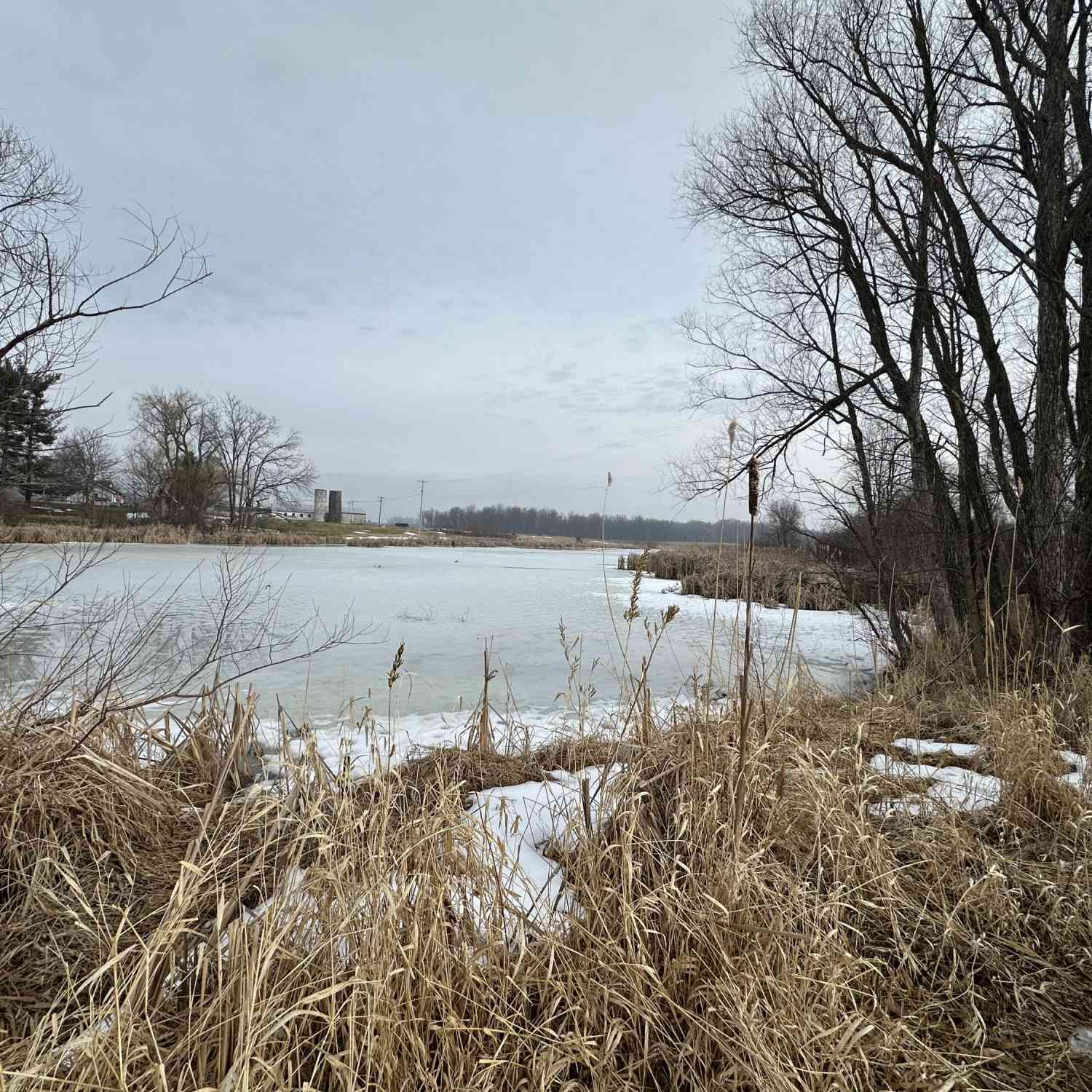 Vacant Land For Sale - 7231 Onsted Highway<br/> Onsted, MI 49265