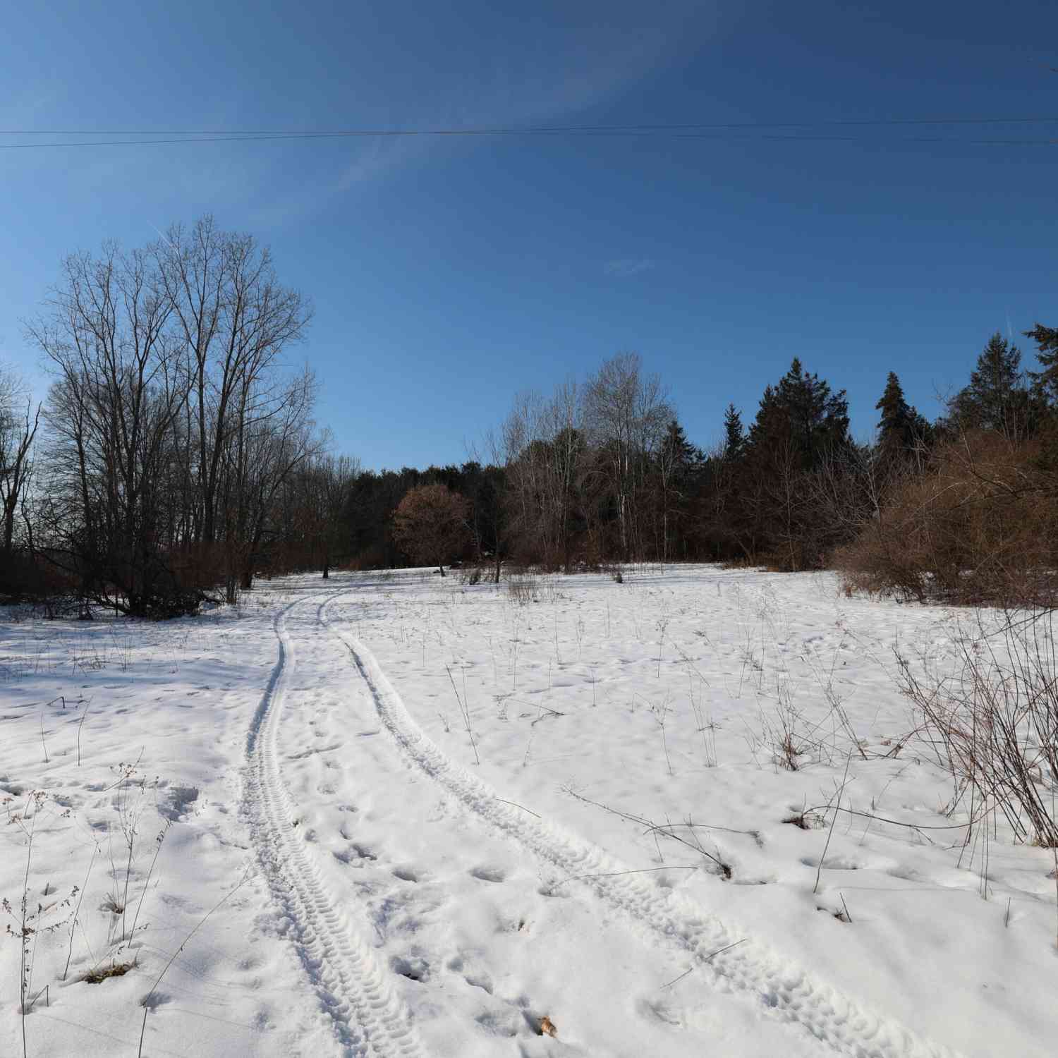 Vacant Land For Sale - Land<br/> Greenville, MI 48838