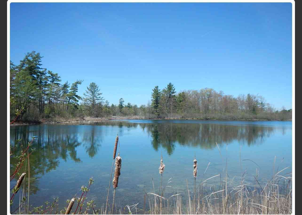 Vacant Land For Sale - 10345 Morgan Mills Avenue<br/> Greenville, MI 48838
