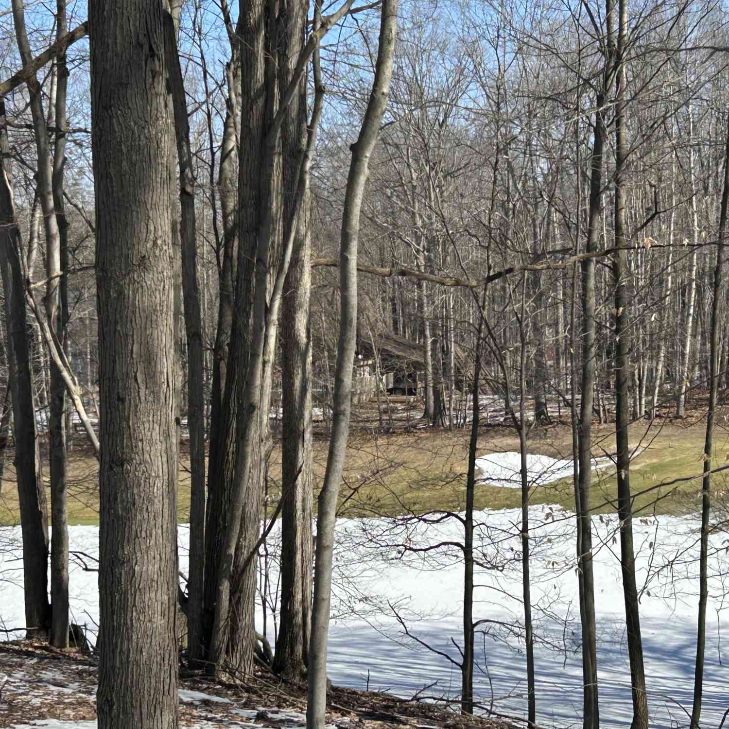 Vacant Land For Sale - 9570 Pere Marquette Drive #10<br/> Canadian Lakes, MI 49346