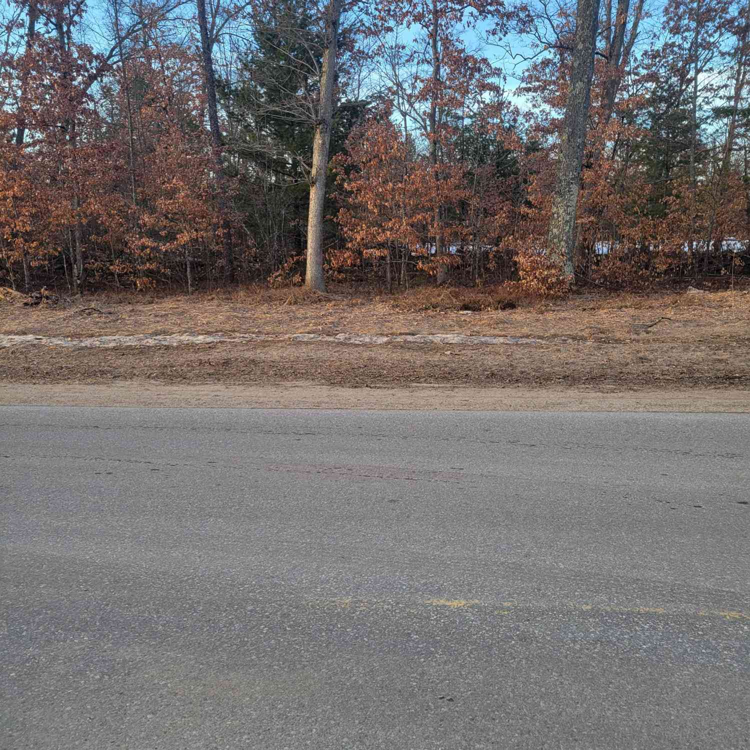 Vacant Land For Sale - 00 S Wilsons Paradise Garden<br/> Idlewild, MI 49642