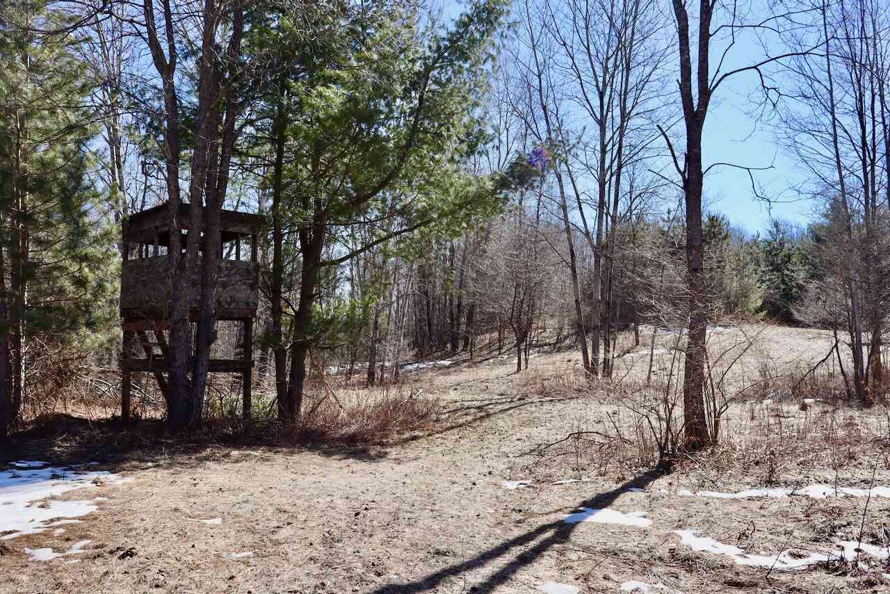 Vacant Land For Sale - V/L 200th Avenue<br/> Tustin, MI 49688