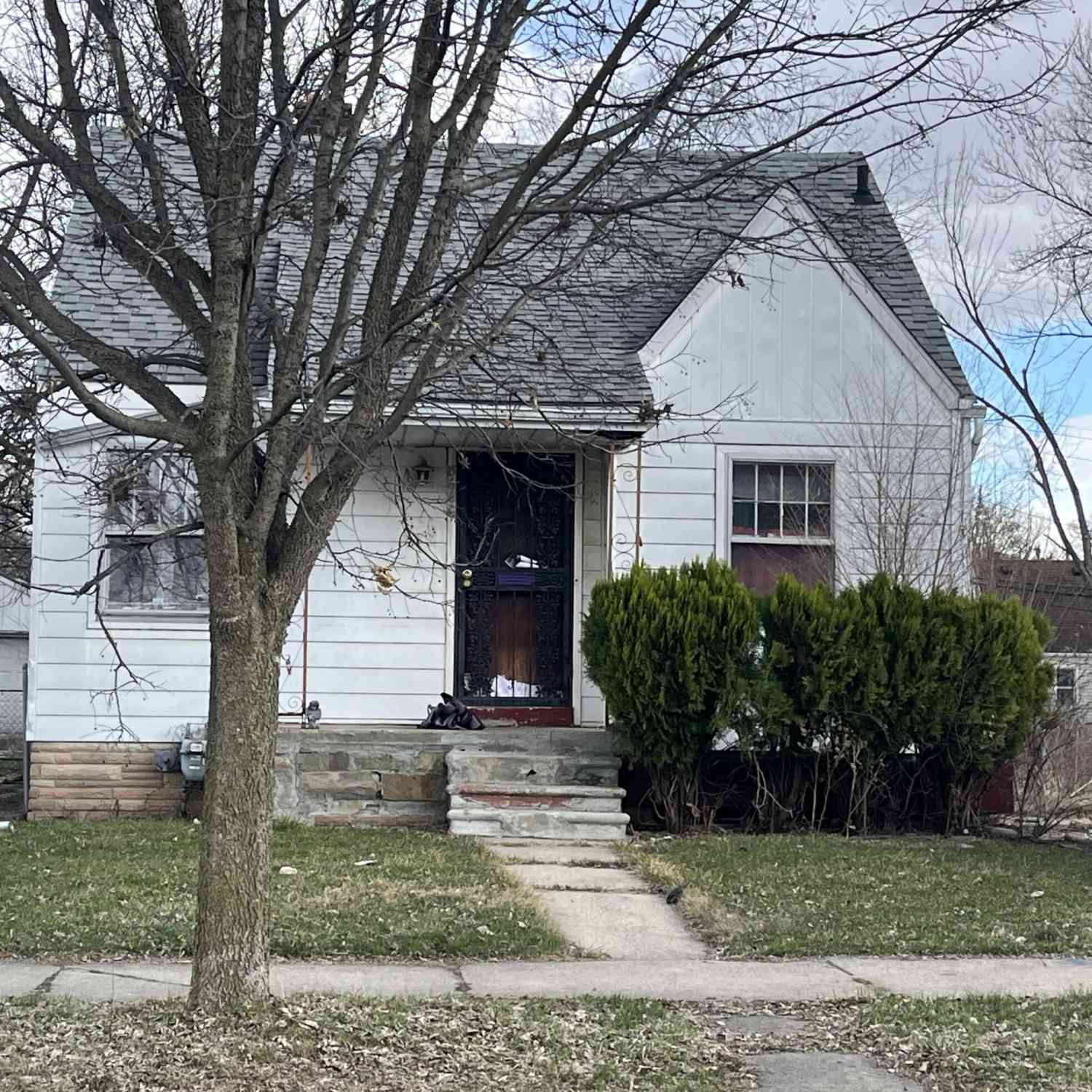 Homes For Sale - 8666 Greenview Avenue<br/> Wayne County, Detroit, MI 48228