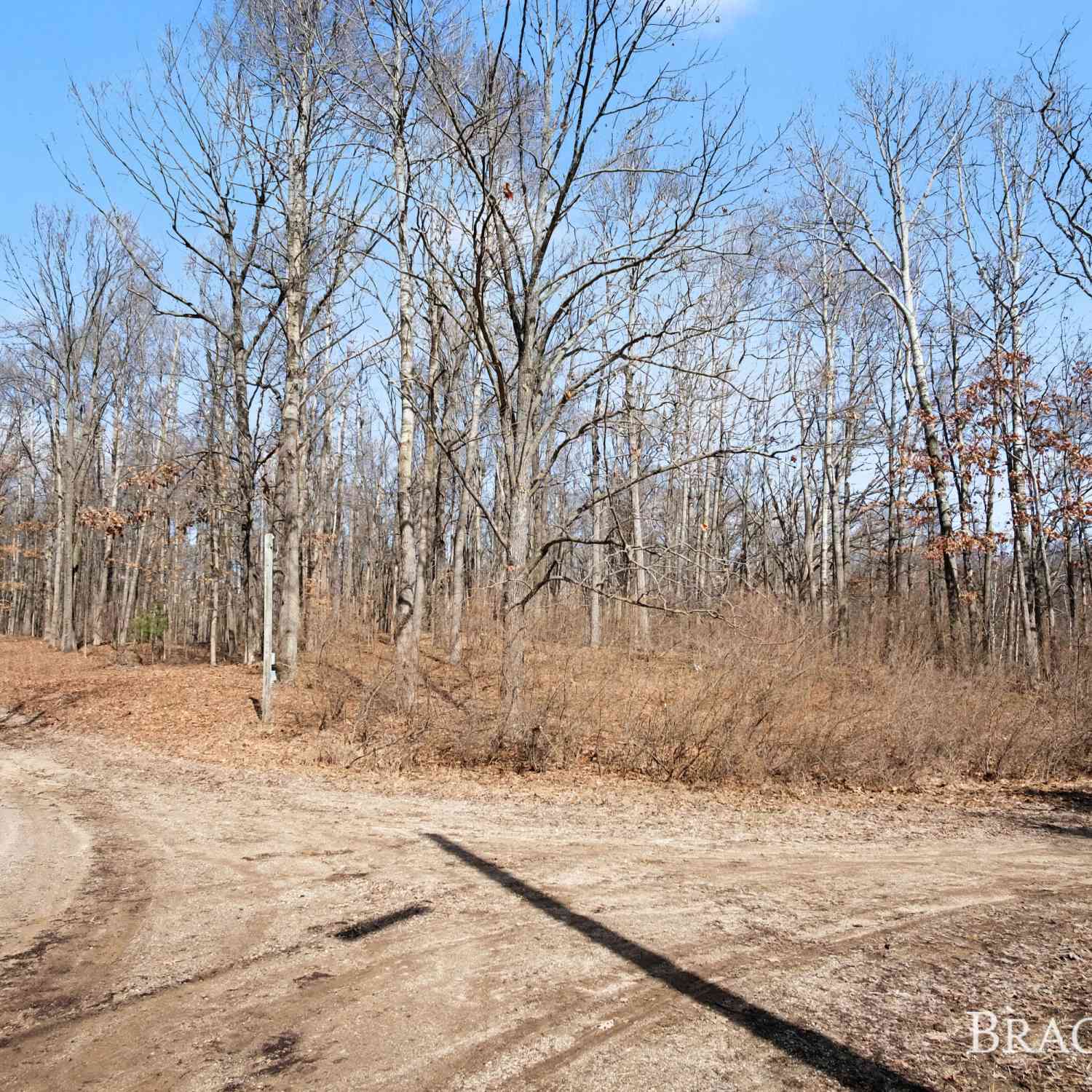 Vacant Land For Sale - 8426 Manitoba Street<br/> Stanwood, MI 49346