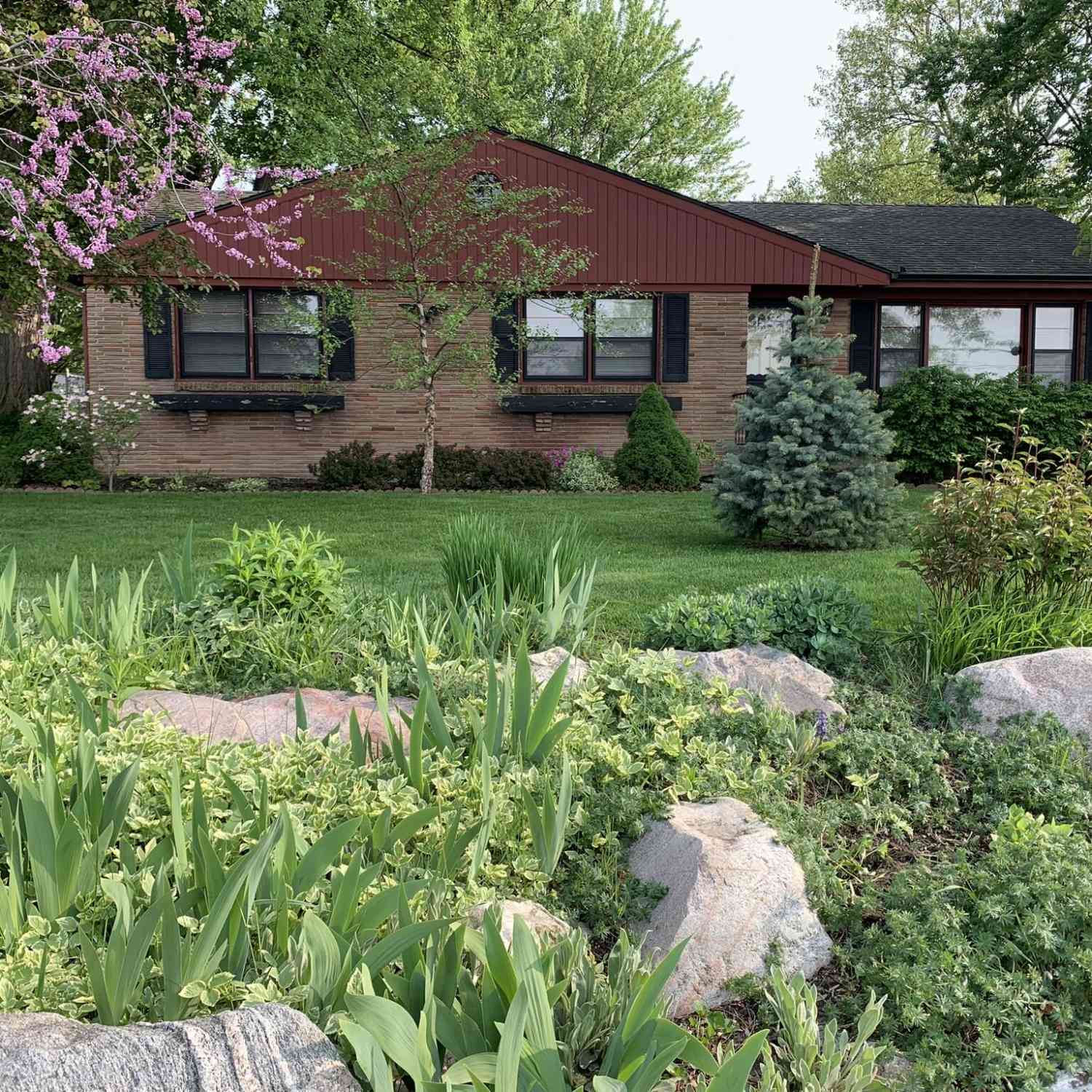 Homes For Sale - 694 68th Street<br/> Byron Center, MI 49315