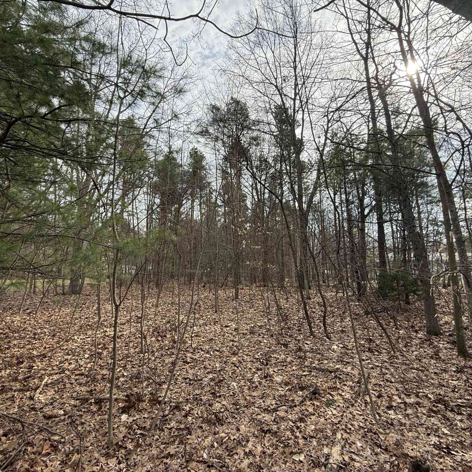 Vacant Land For Sale - V/L 144th Avenue<br/> Grand Haven, MI 49417