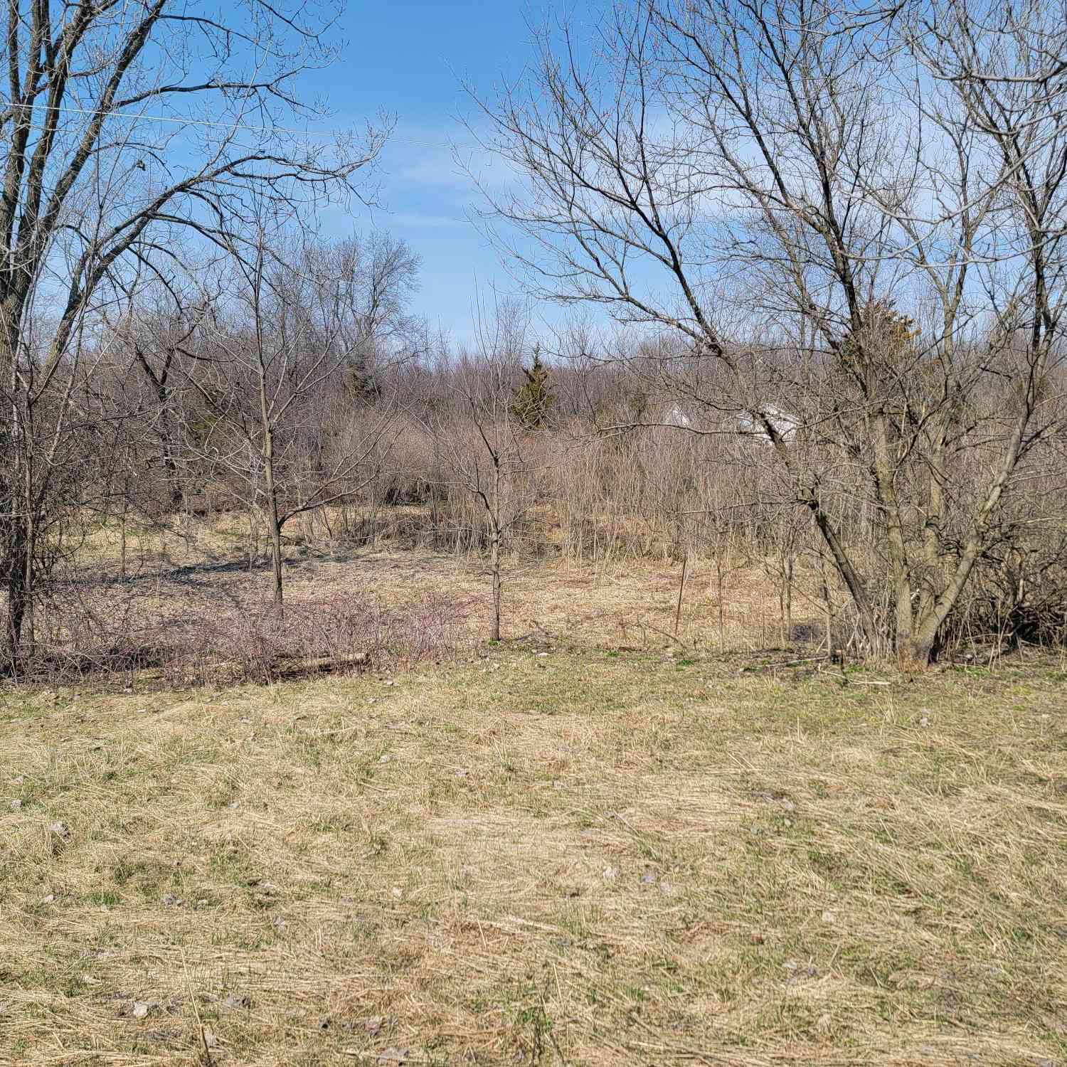 Vacant Land For Sale - 575 135th Avenue<br/> Wayland, MI 49348