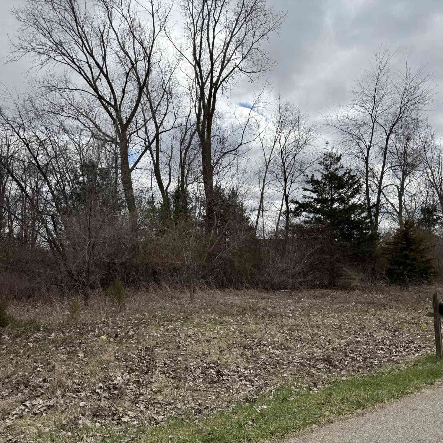 Vacant Land For Sale - 11029 Brittany Drive<br/> Hillsdale County, Somerset, MI 49281