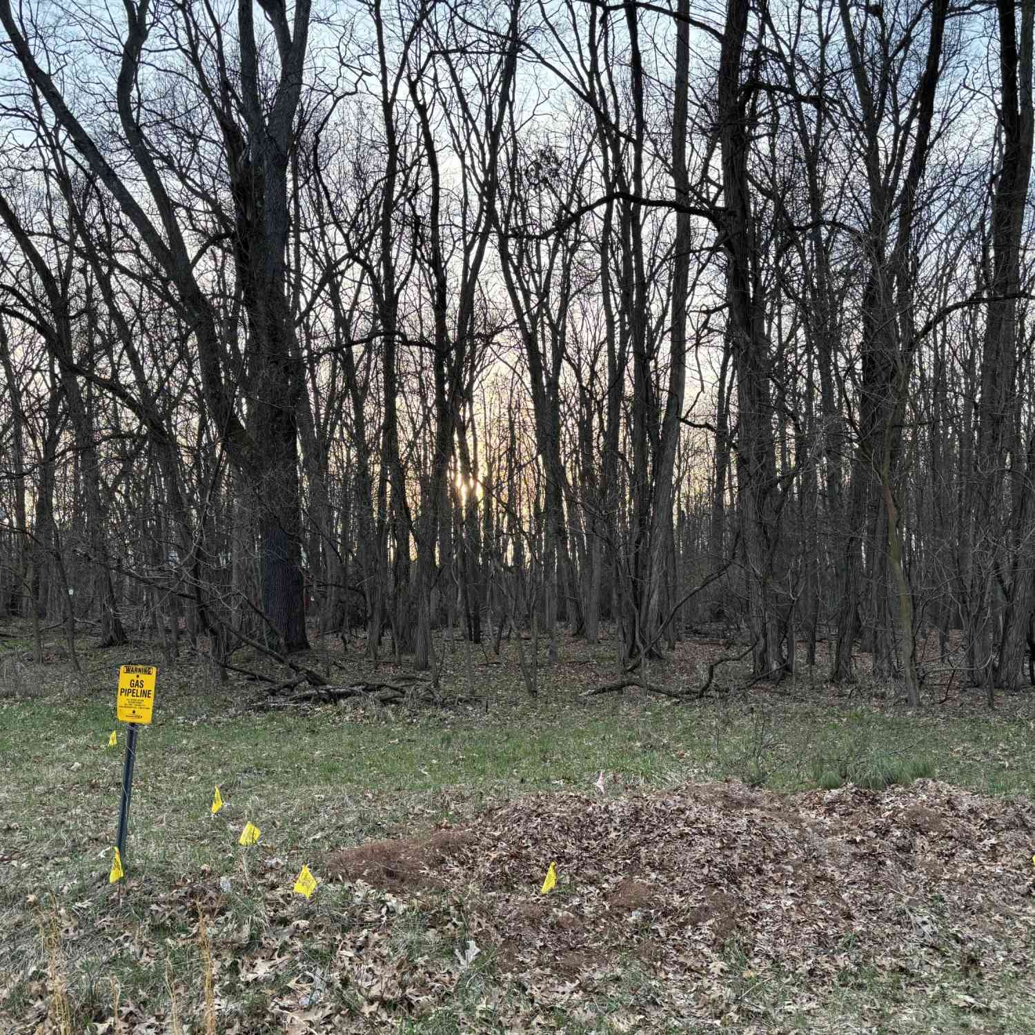 Vacant Land For Sale - 11560 Rutan Circle<br/> Jerome, MI 49249