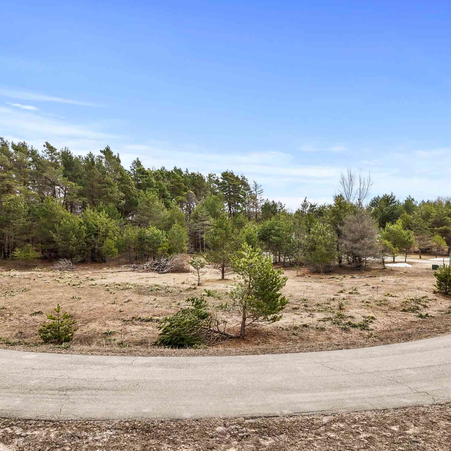 Vacant Land For Sale - V/L Winding Creek Drive<br/> Bear Lake, MI 49614