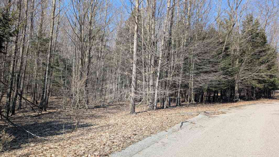 Vacant Land For Sale - Opal Ridge Drive #68<br/> Onekama, MI 49675