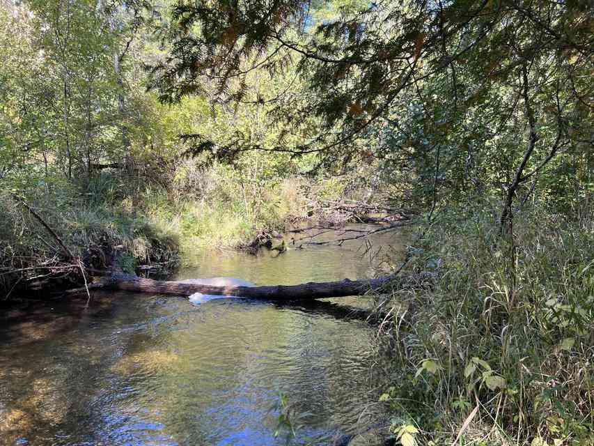 Vacant Land For Sale - VL E Alpine<br/> Luther, MI 49656