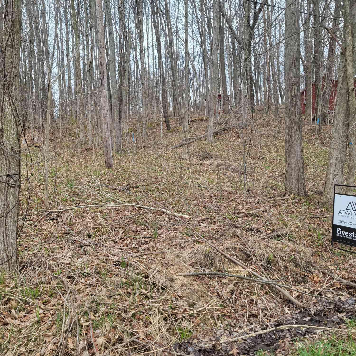 Vacant Land For Sale - V/L 45 E Peterson Drive<br/> Gobles, MI 49055