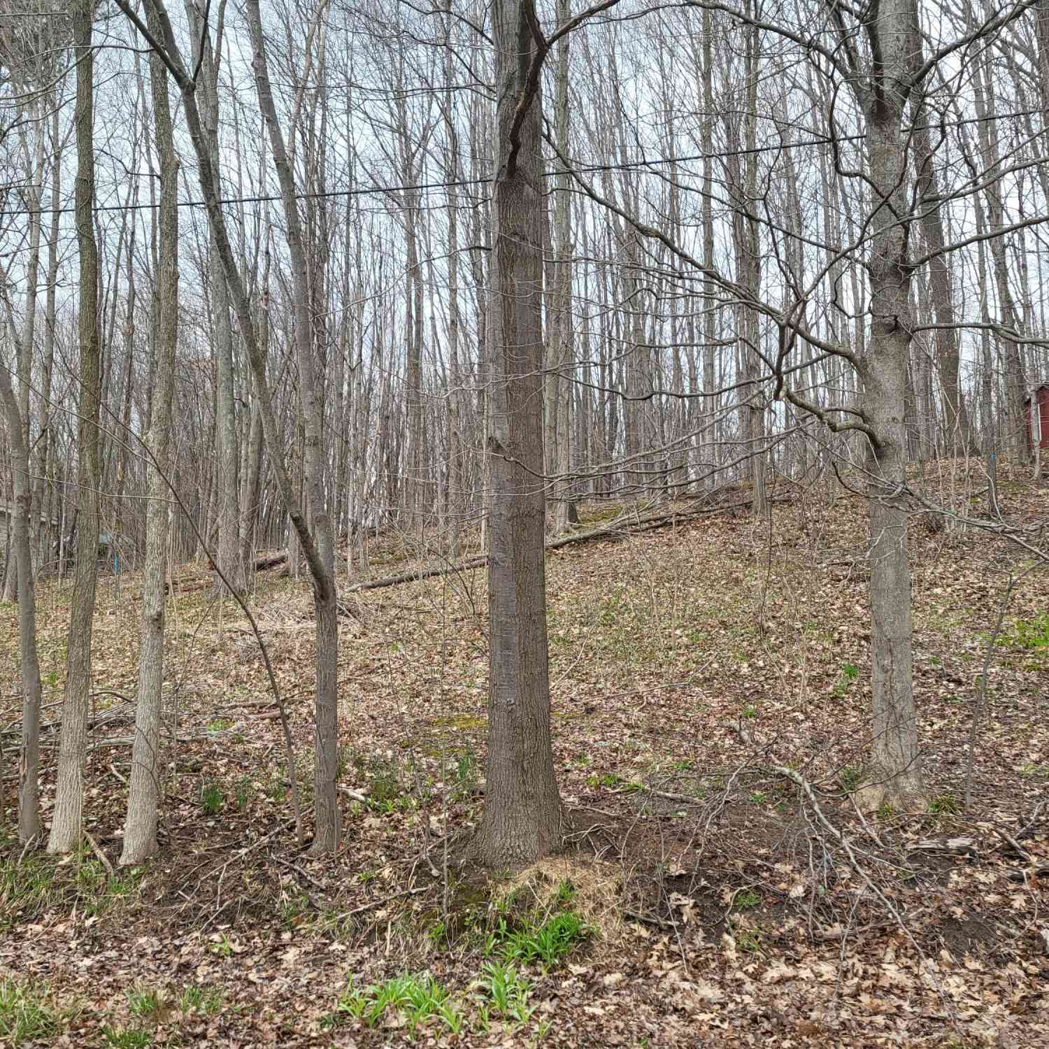 Vacant Land For Sale - V/L 46 E Peterson<br/> Gobles, MI 49055