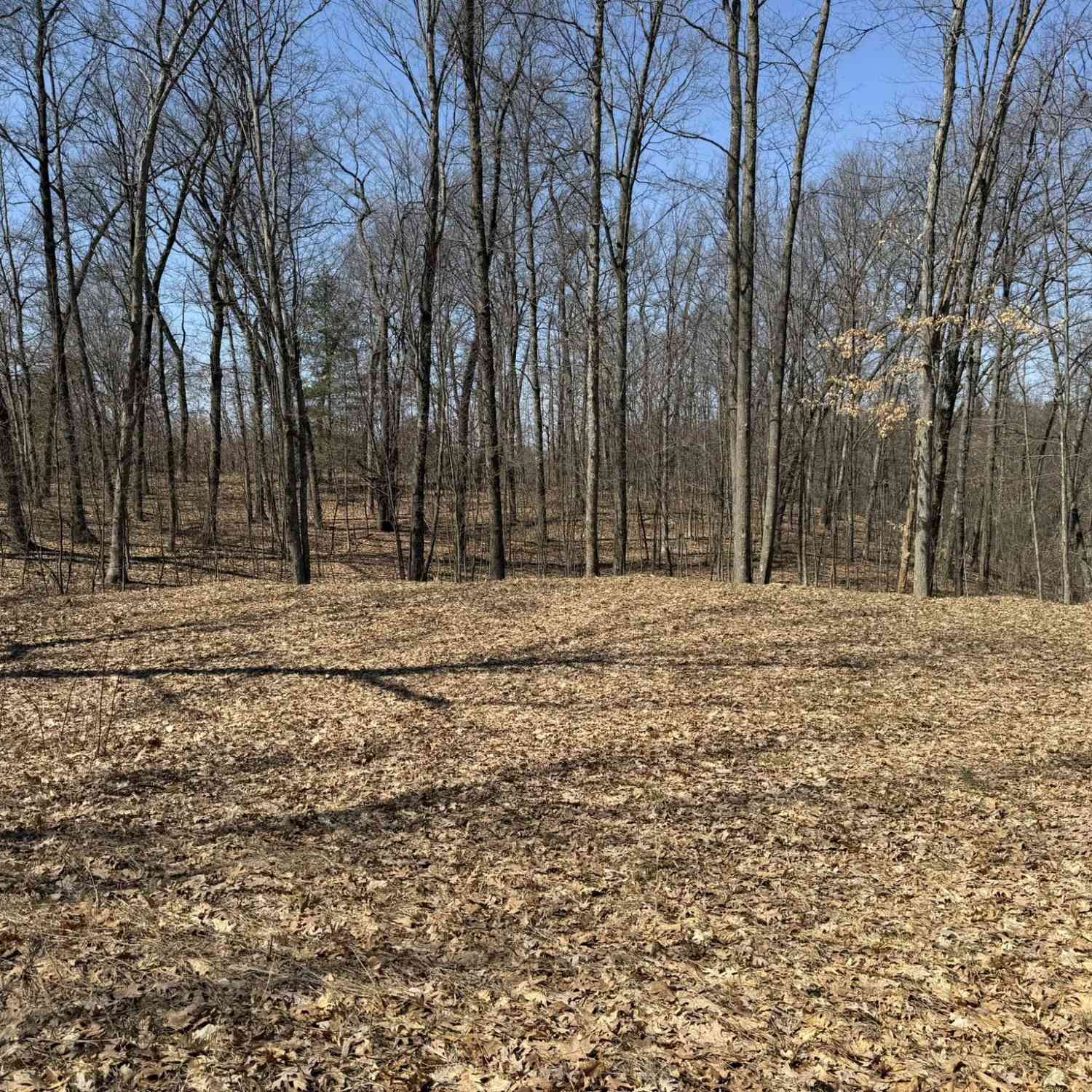 Vacant Land For Sale - 8180 N Echo Valley Drive<br/> Irons, MI 49644