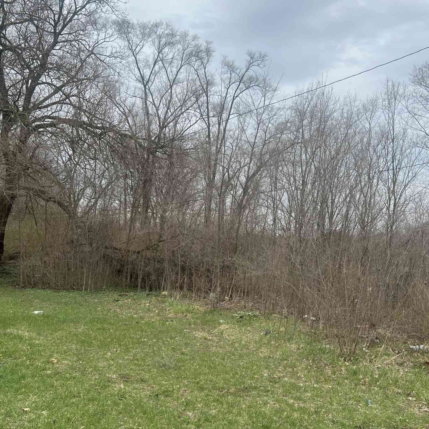Vacant Land For Sale - 1096 N Euclid Avenue<br/> Benton Harbor, MI 49022