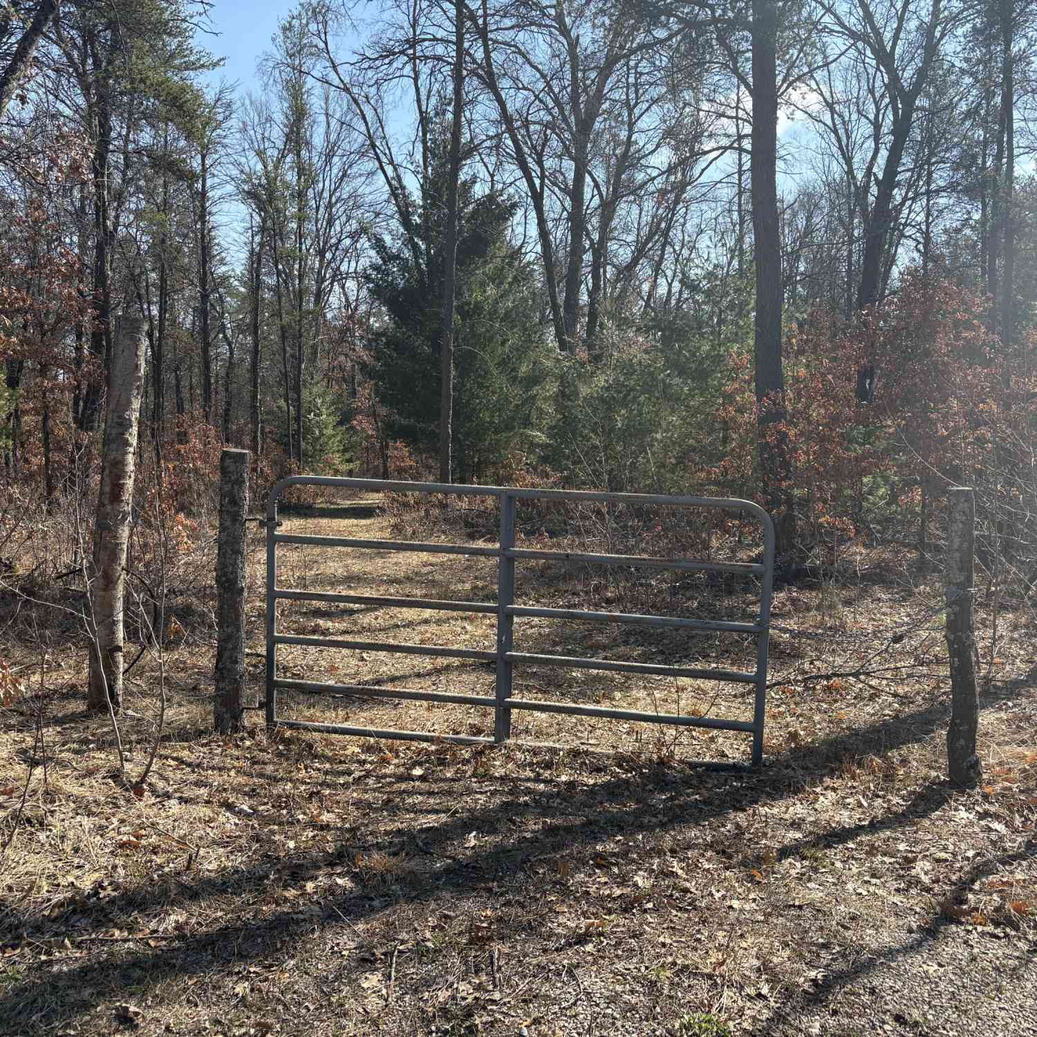 Vacant Land For Sale - 5222 S Broadway Road<br/> Idlewild, MI 49642