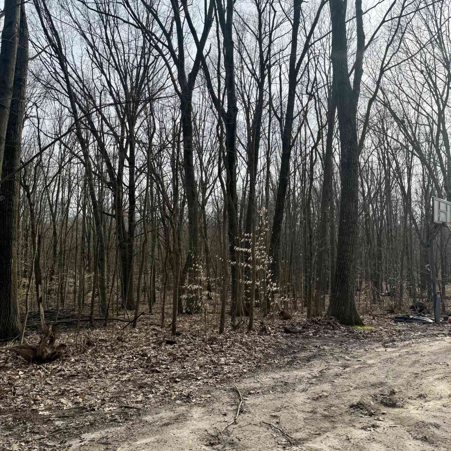 Vacant Land For Sale - V/l Sycamore Street<br/> Grand Junction, MI 49056
