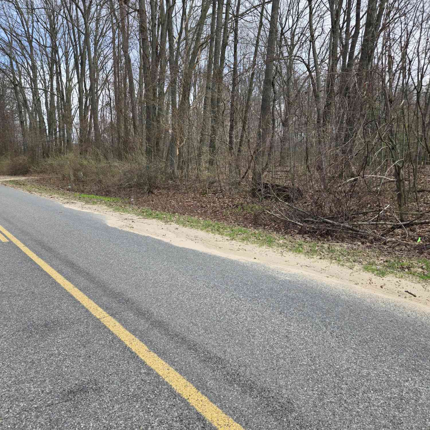 Vacant Land For Sale - VL 8th Avenue<br/> Grand Junction, MI 49056