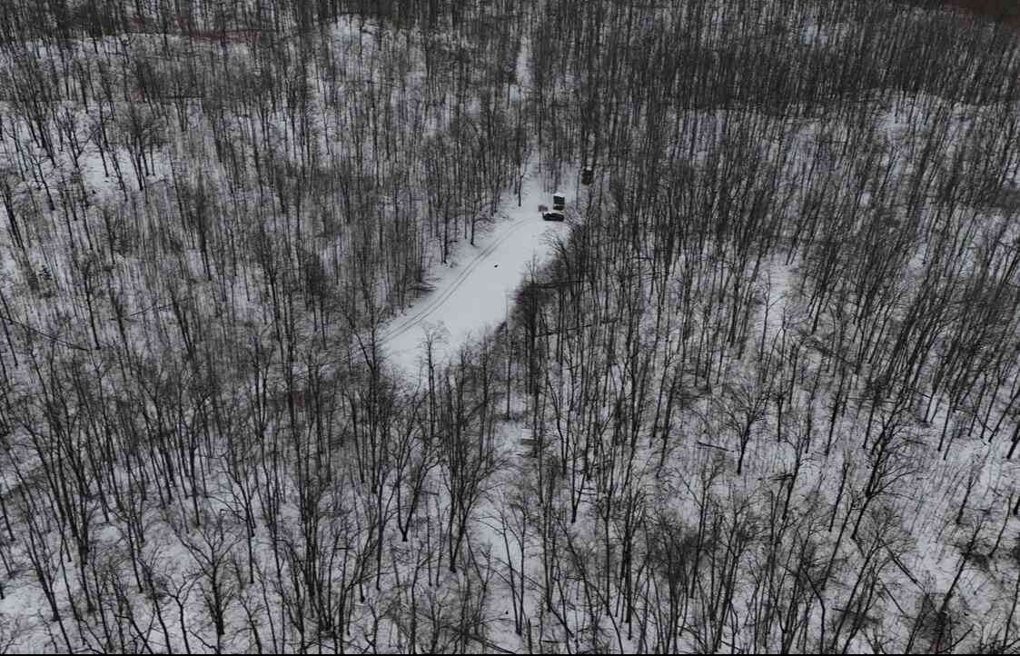 Vacant Land For Sale - Tower Rd Road<br/> Alcona County, Curran, MI 48728