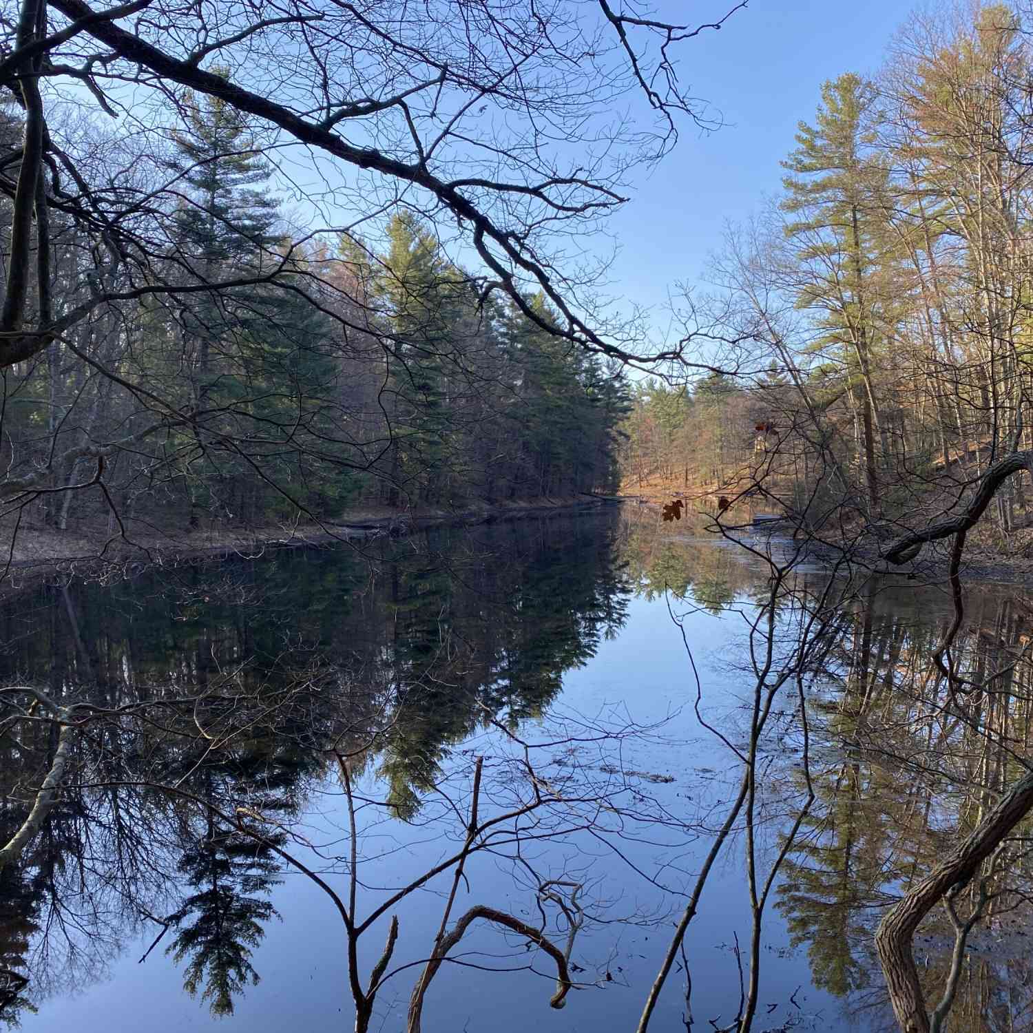 Vacant Land For Sale - VL Mill Pond Trail<br/> Whitehall, MI 49461