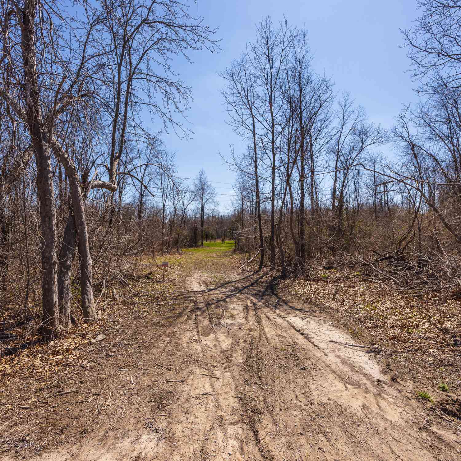 Vacant Land For Sale - Jennings Road<br/> Whitmore Lake, MI 48189