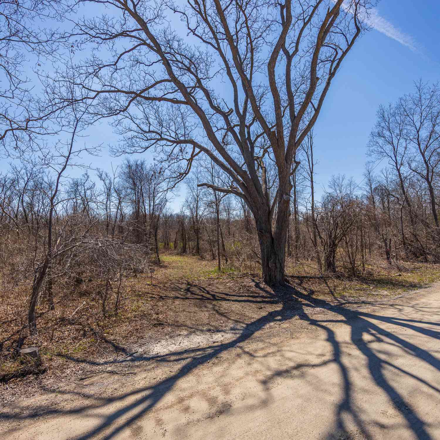 Vacant Land For Sale - 00 Jennings Road<br/> Whitmore Lake, MI 48189