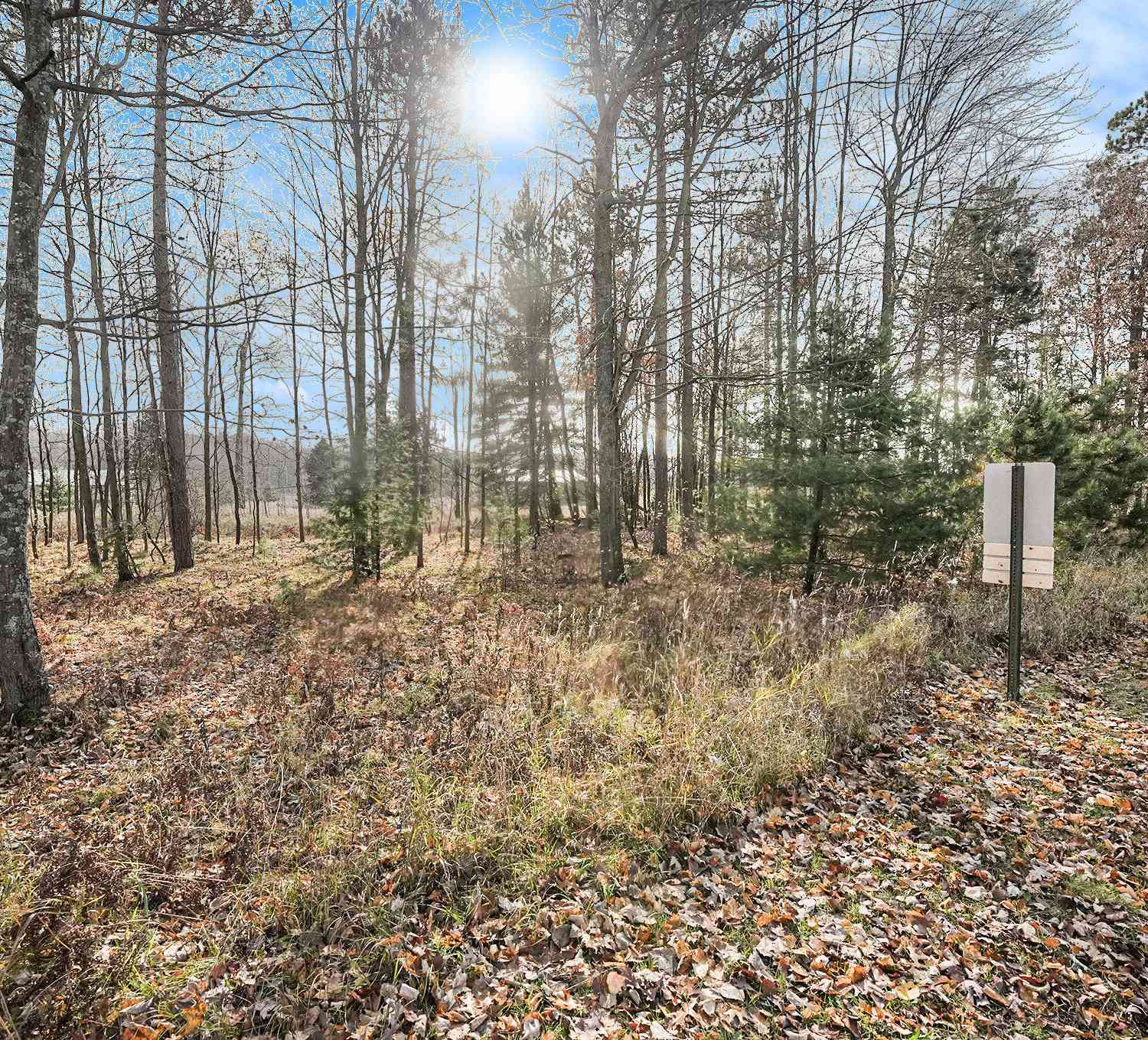 Vacant Land For Sale - 12215 Lila Court<br/> Stanwood, MI 49346