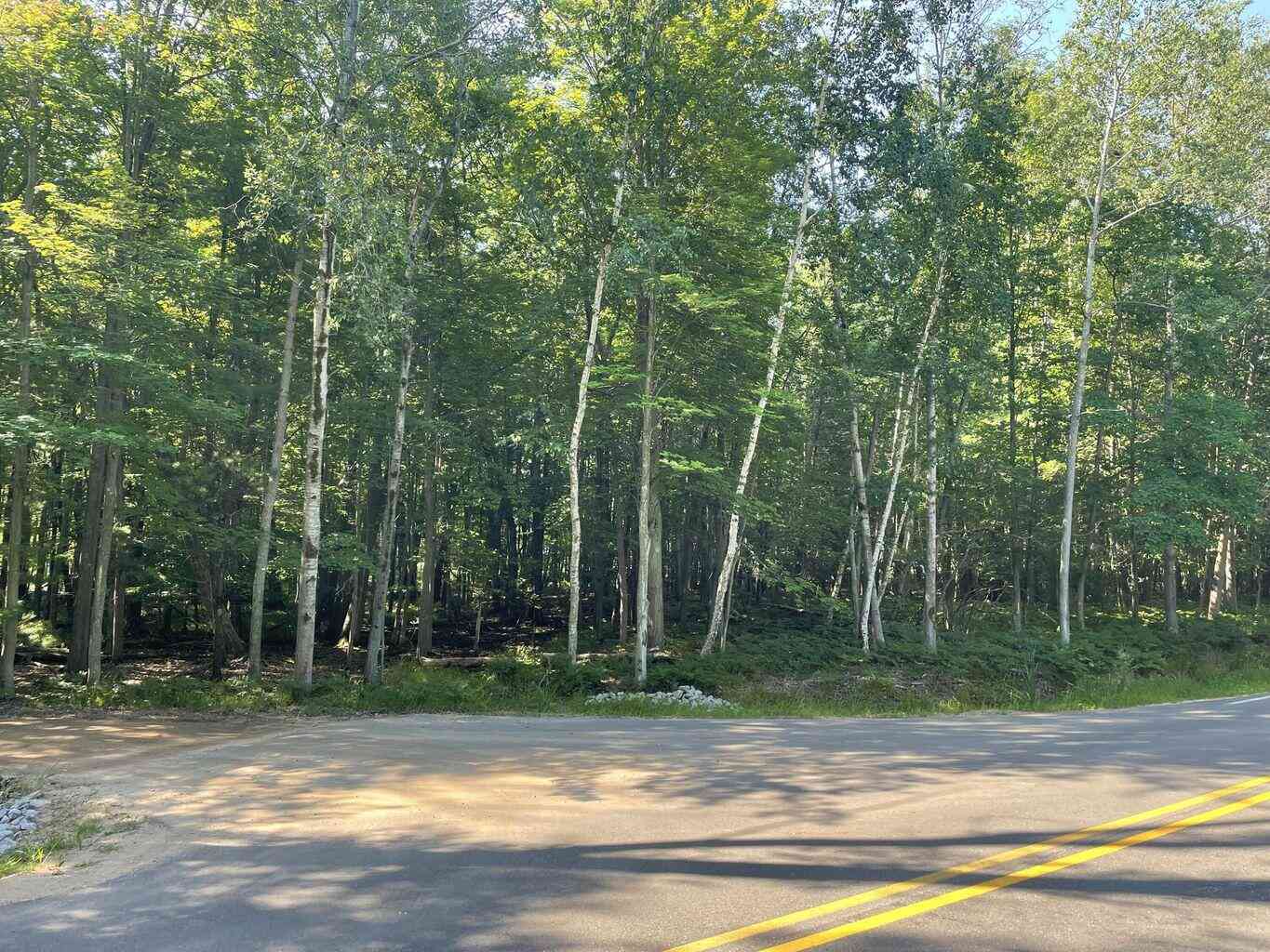 Vacant Land For Sale - 4750 N Ridge Road<br/> Mears, MI 49436